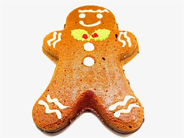 Mr. Gingerbread